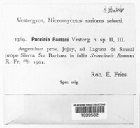 Puccinia bomani image